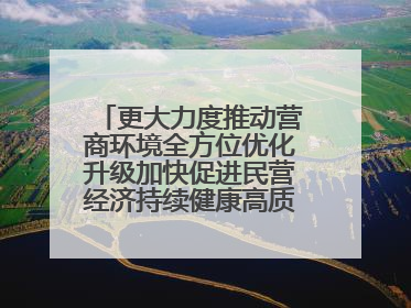 更大力度推动营商环境全方位优化升级加快促进民营经济持续健康高质量发展
