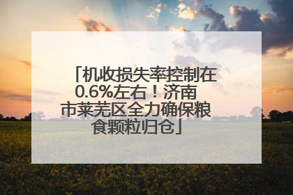 机收损失率控制在0.6%左右！济南市莱芜区全力确保粮食颗粒归仓