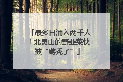 最多日涌入两千人！北灵山的野韭菜快被“薅秃了”