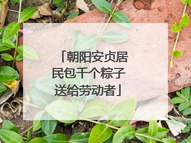 朝阳安贞居民包千个粽子送给劳动者