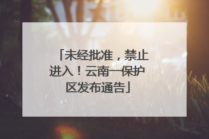 未经批准，禁止进入！云南一保护区发布通告