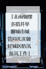 未雨绸缪 多措并举 聊城市城管局扎实做好城区防汛备汛工作
