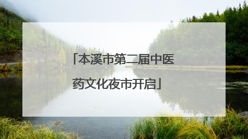 本溪市第二届中医药文化夜市开启