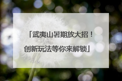 武夷山暑期放大招！创新玩法等你来解锁