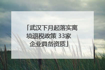 武汉下月起落实离境退税政策 33家企业具备资质