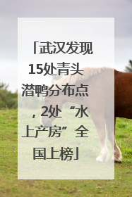 武汉发现15处青头潜鸭分布点，2处“水上产房”全国上榜