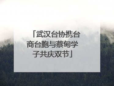 武汉台协携台商台胞与蔡甸学子共庆双节