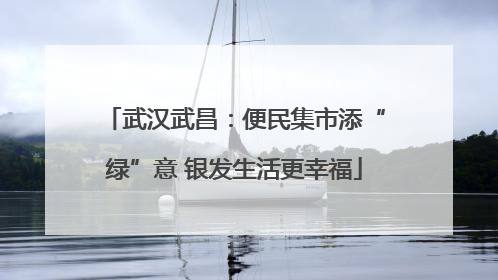 武汉武昌：便民集市添“绿”意 银发生活更幸福