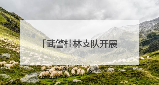 武警桂林支队开展端午节主题活动