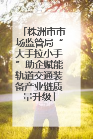 株洲市市场监管局“大手拉小手”助企赋能轨道交通装备产业链质量升级