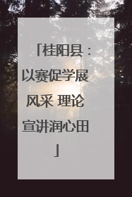 桂阳县：以赛促学展风采 理论宣讲润心田