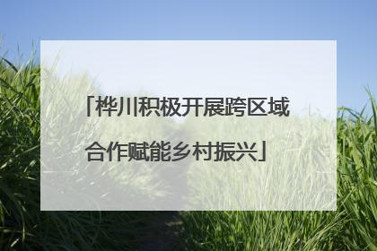 桦川积极开展跨区域合作赋能乡村振兴