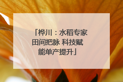 桦川：水稻专家田间把脉 科技赋能单产提升