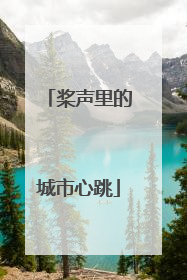 桨声里的城市心跳
