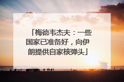 梅德韦杰夫：一些国家已准备好，向伊朗提供自家核弹头