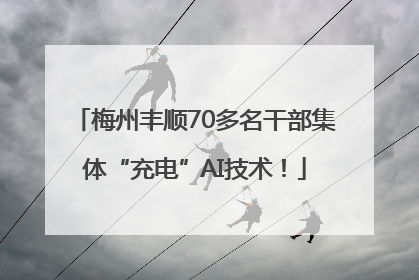 梅州丰顺70多名干部集体“充电”AI技术！