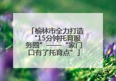 榆林市全力打造“15分钟托育服务圈”——“家门口有了托育点”