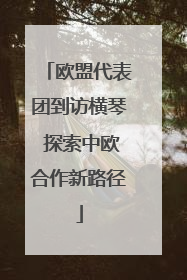 欧盟代表团到访横琴 探索中欧合作新路径