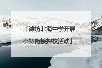 潍坊北海中学开展小初衔接探校活动