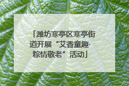 潍坊寒亭区寒亭街道开展“艾香童趣·粽情敬老”活动