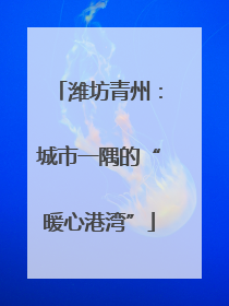 潍坊青州：城市一隅的“暖心港湾”