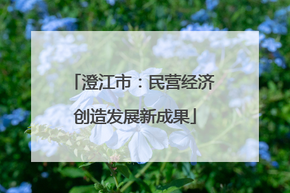澄江市：民营经济创造发展新成果