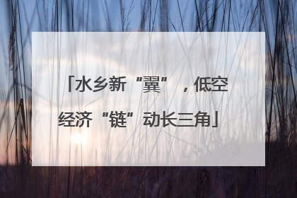 水乡新“翼”，低空经济“链”动长三角