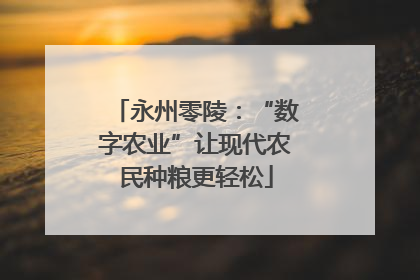 永州零陵：“数字农业”让现代农民种粮更轻松
