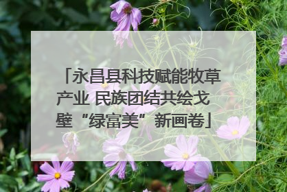 永昌县科技赋能牧草产业 民族团结共绘戈壁“绿富美”新画卷