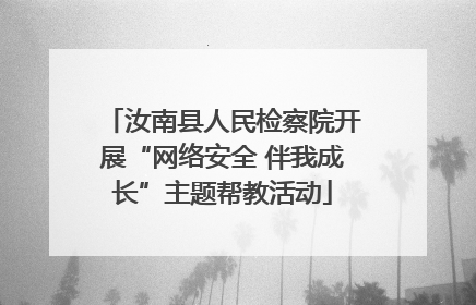 汝南县人民检察院开展“网络安全 伴我成长”主题帮教活动