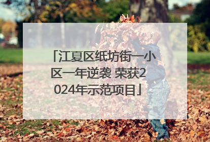 江夏区纸坊街一小区一年逆袭 荣获2024年示范项目