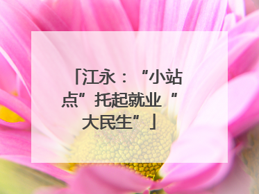 江永：“小站点”托起就业“大民生”