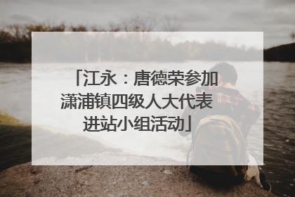 江永：唐德荣参加潇浦镇四级人大代表进站小组活动