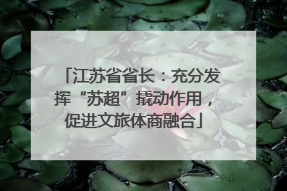 江苏省省长：充分发挥“苏超”撬动作用，促进文旅体商融合