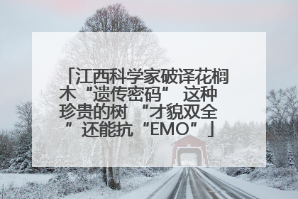 江西科学家破译花榈木“遗传密码” 这种珍贵的树 “才貌双全”还能抗“EMO”