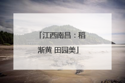 江西南昌：稻渐黄 田园美