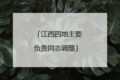 江西四地主要负责同志调整