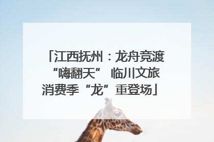 江西抚州：龙舟竞渡“嗨翻天” 临川文旅消费季“龙”重登场