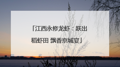 江西永修龙虾：跃出稻虾田 飘香京城宴
