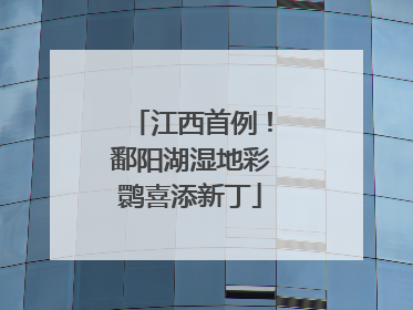 江西首例！鄱阳湖湿地彩鹮喜添新丁