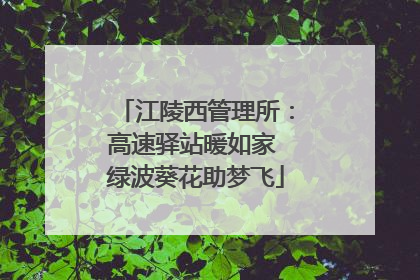 江陵西管理所：高速驿站暖如家 绿波葵花助梦飞