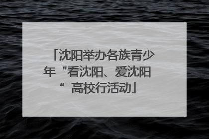 沈阳举办各族青少年“看沈阳、爱沈阳”高校行活动