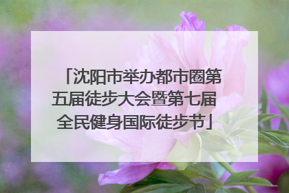 沈阳市举办都市圈第五届徒步大会暨第七届全民健身国际徒步节