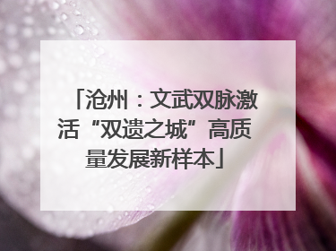 沧州：文武双脉激活“双遗之城”高质量发展新样本