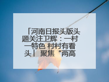 河南日报头版头题关注卫辉：一村一特色 村村有看头 ︳聚焦“两高四着力”·一“县”观察