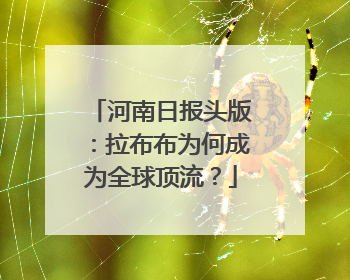 河南日报头版：拉布布为何成为全球顶流？