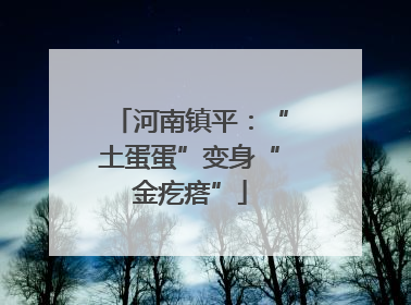 河南镇平：“土蛋蛋”变身“金疙瘩”