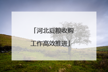 河北夏粮收购工作高效推进