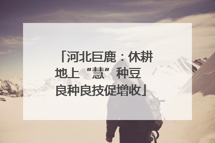 河北巨鹿：休耕地上“慧”种豆 良种良技促增收