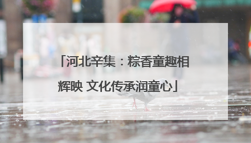 河北辛集：粽香童趣相辉映 文化传承润童心
